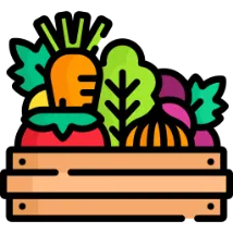 コンテナに野菜が入っている